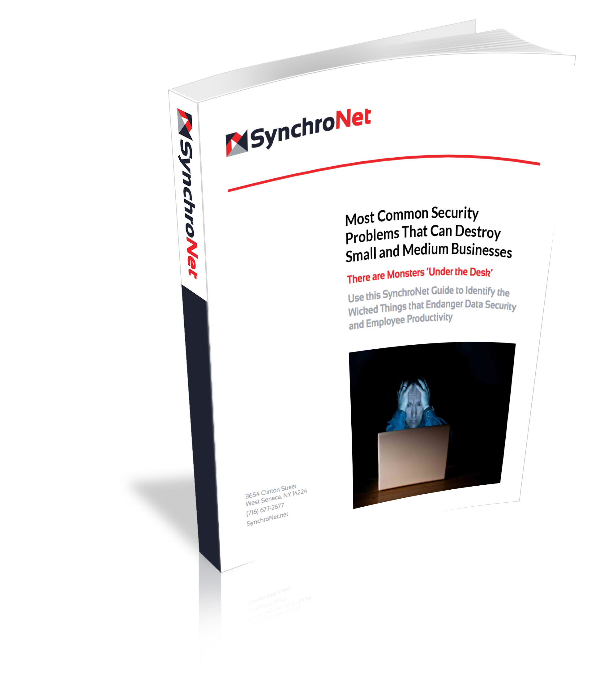 SynchroNet Common Security Problems Book Cover