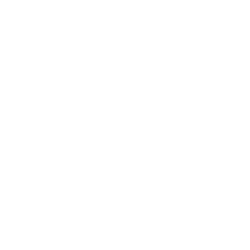 Network Support icon