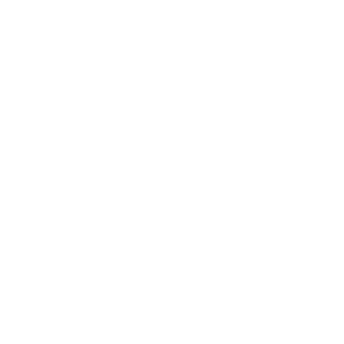 CPA and Accounting IT Icon – SynchroNet
