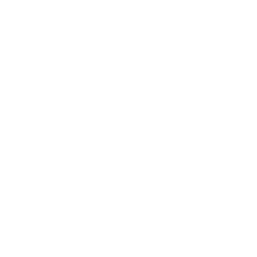 Healthcare and Medical IT Icon – SynchroNet