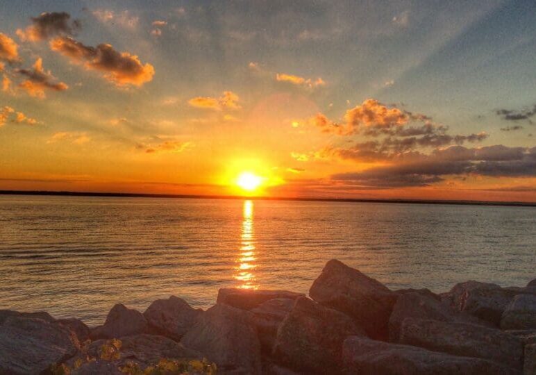 Summer Friday Security Checklist - Outsourced IT Support Buffalo NY - SynchroNet