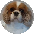 Lou Dietrich Avatar
